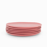Pink Dinner Plates - Set of 6