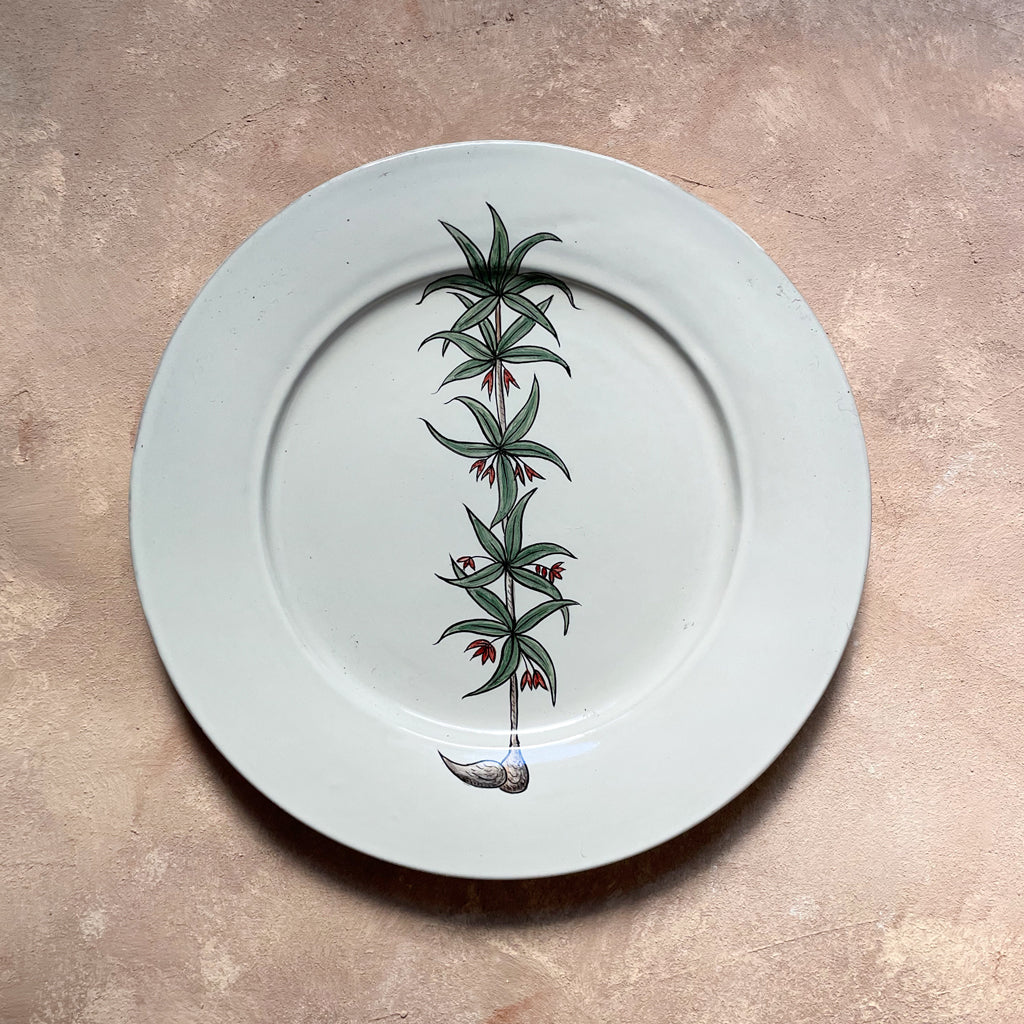 Sigil Plate