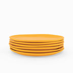 Orange Dinner Plates - Set of 6