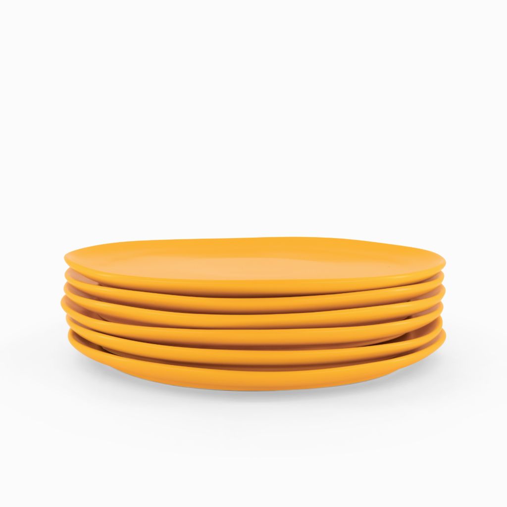 Orange Dinner Plates - Set of 6