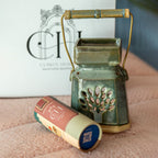 Palm Diffuser with Handle & Diffuser Oil Set