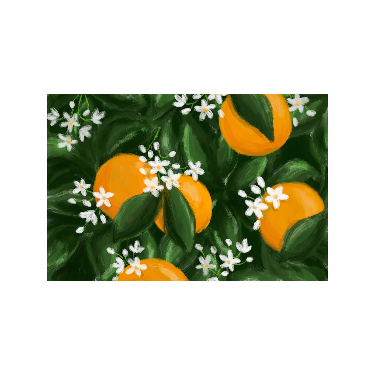 Orange Blossom Post Card